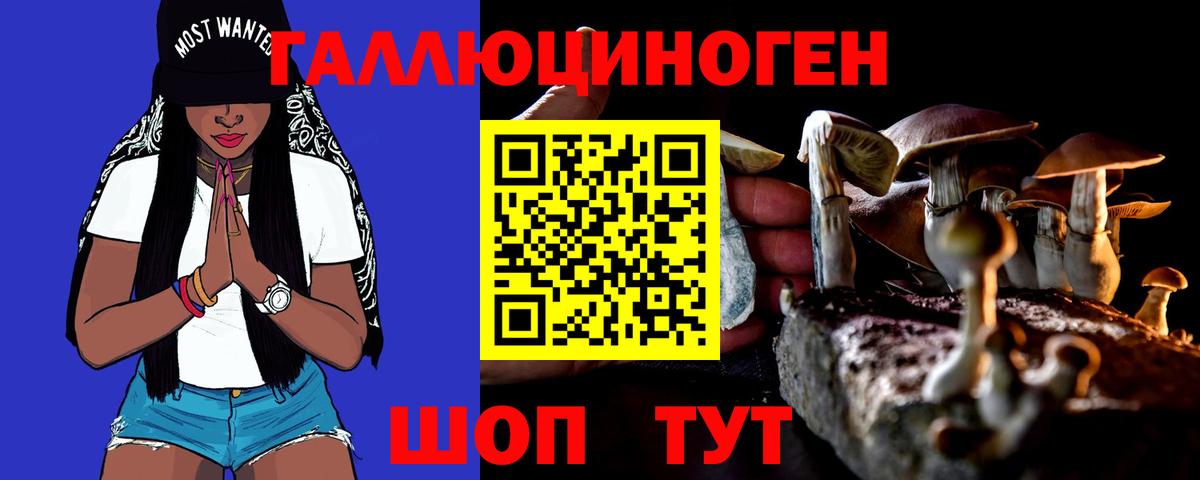 Нижнеудинск  где можно купить наркотик  Вход с VPN  Галлюциногенные грибы Magic Shrooms 